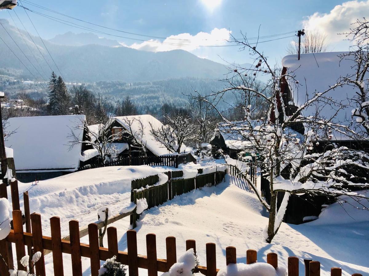 Viktoria- Neakceptujeme Mlade Partie Villa Terchová Exterior foto
