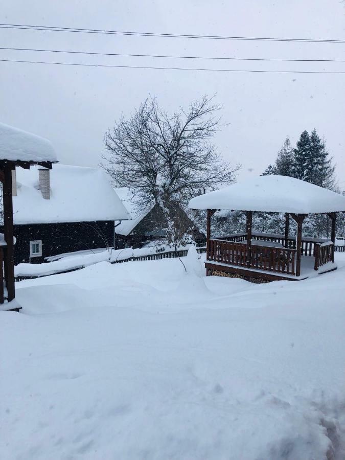Viktoria- Neakceptujeme Mlade Partie Villa Terchová Exterior foto